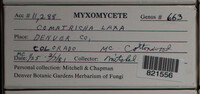 Image Associated With the Occurence
